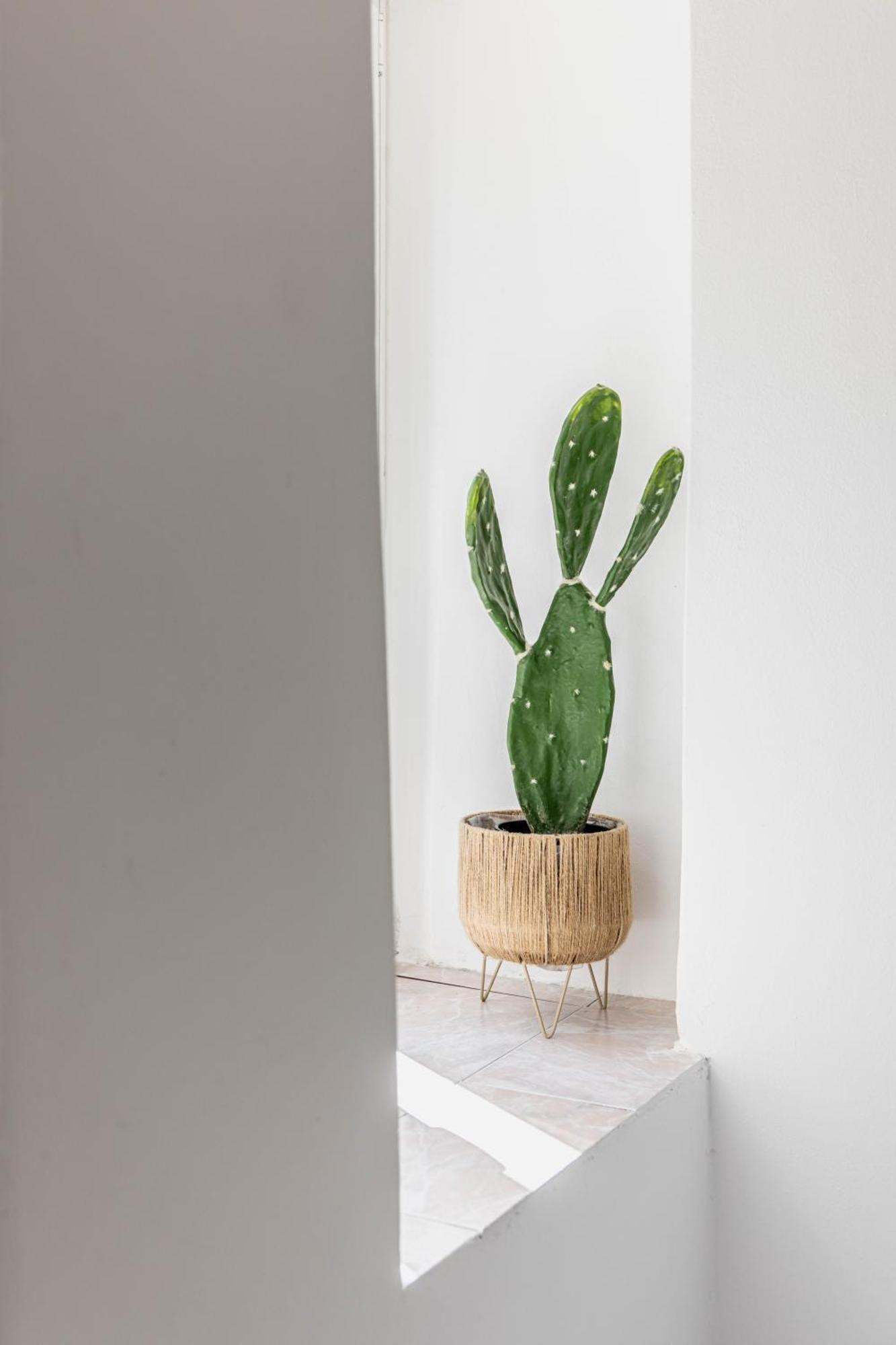 Apartman Dioniz Split Exteriér fotografie